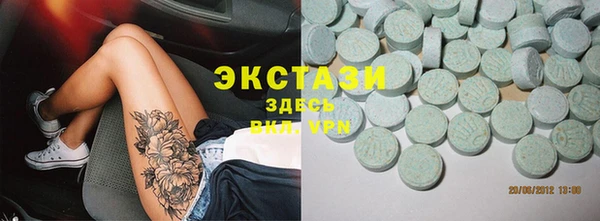 хмурый Аркадак