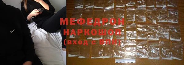 хмурый Аркадак