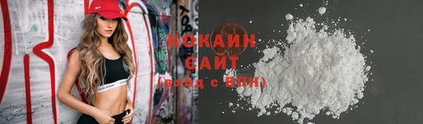кокс Арсеньев