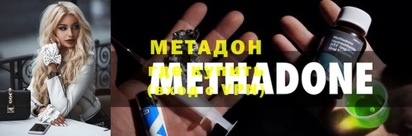 хмурый Аркадак