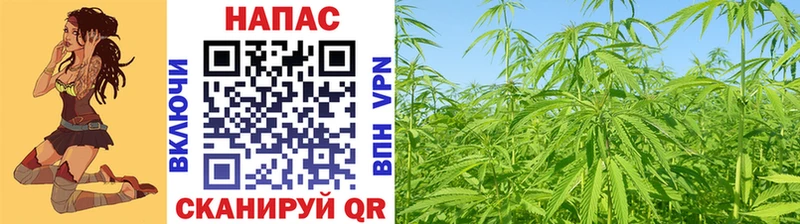 МЕГА вход  Облучье  Каннабис план  цена  